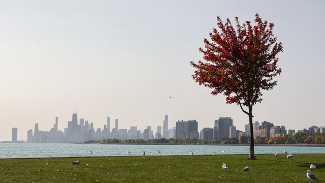 When to expect peak fall colors around Chicago