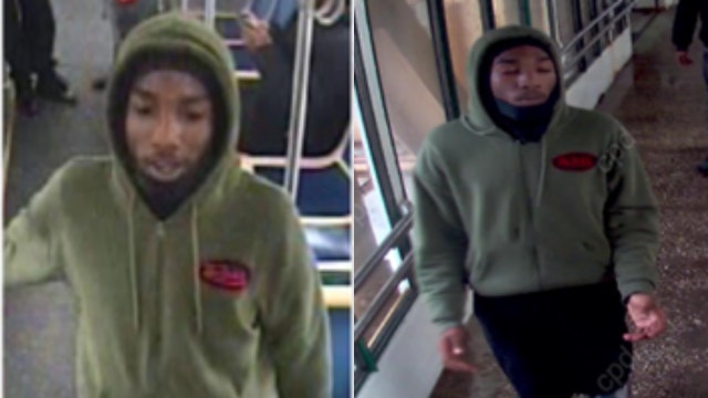 Chicago police seek man accused of assaulting CTA Green Line passenger