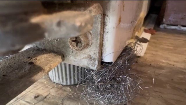 Mice, roaches and failed inspections: South Side residents cry for help as city takes owner to court