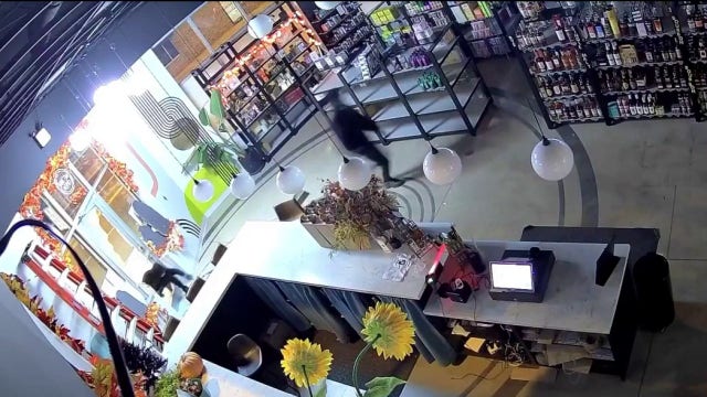 19 Chicago businesses targeted in Northwest Side smash-and-grab burglaries, police say