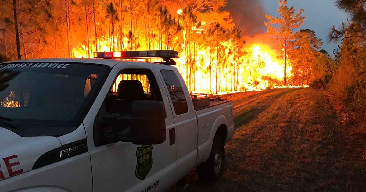 Brush fire burning near I-4 and SR 417 | FOX 35 Orlando