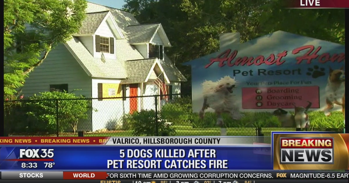 5 dogs perish in Florida in fire at Almost Home Pet Resort | FOX 35 Orlando