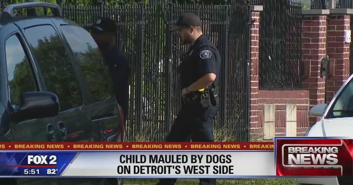 9-year-old dies after mauling by 3 dogs on Detroit's west side | FOX 35 ...