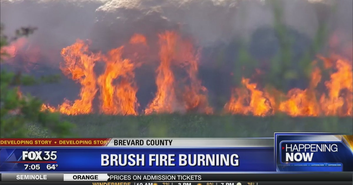 Hundreds of acres burned in brush fire overnight | FOX 35 Orlando