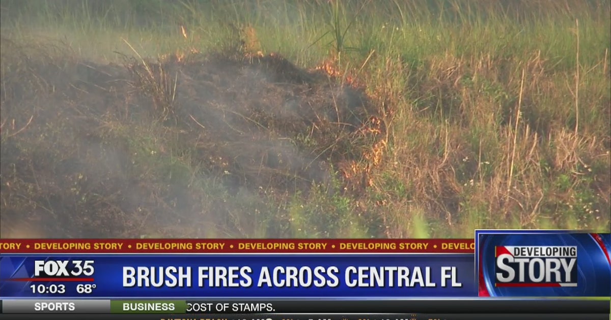 Brush fires burn across Central Florida | FOX 35 Orlando