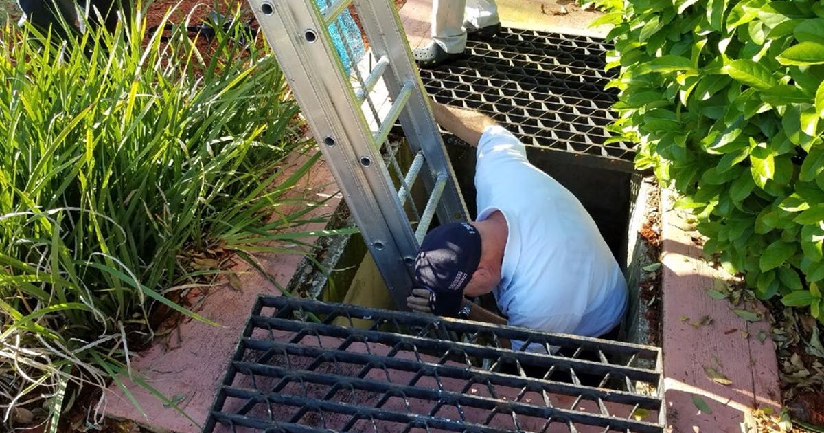 Firefighters rescue ducklings in storm drain | FOX 35 Orlando