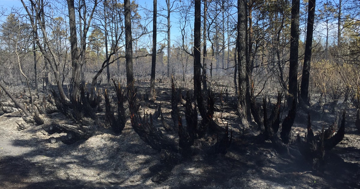 Firefighters battle brush fire in Orange County | FOX 35 Orlando