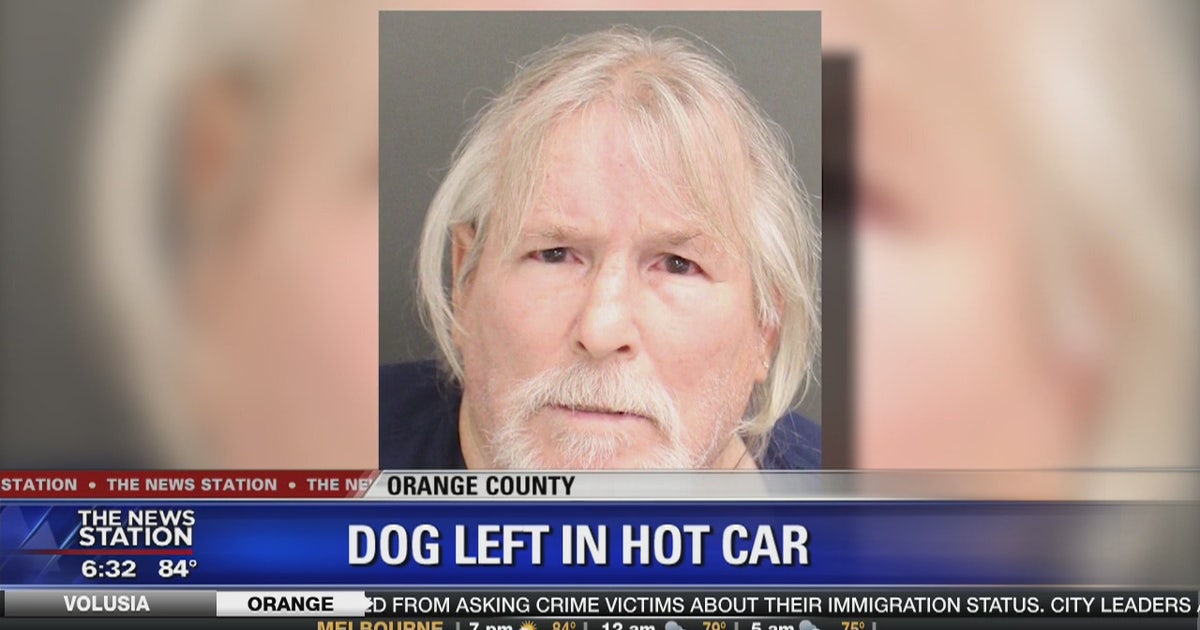 Deputies: Man arrested after leaving dog in car | FOX 35 Orlando