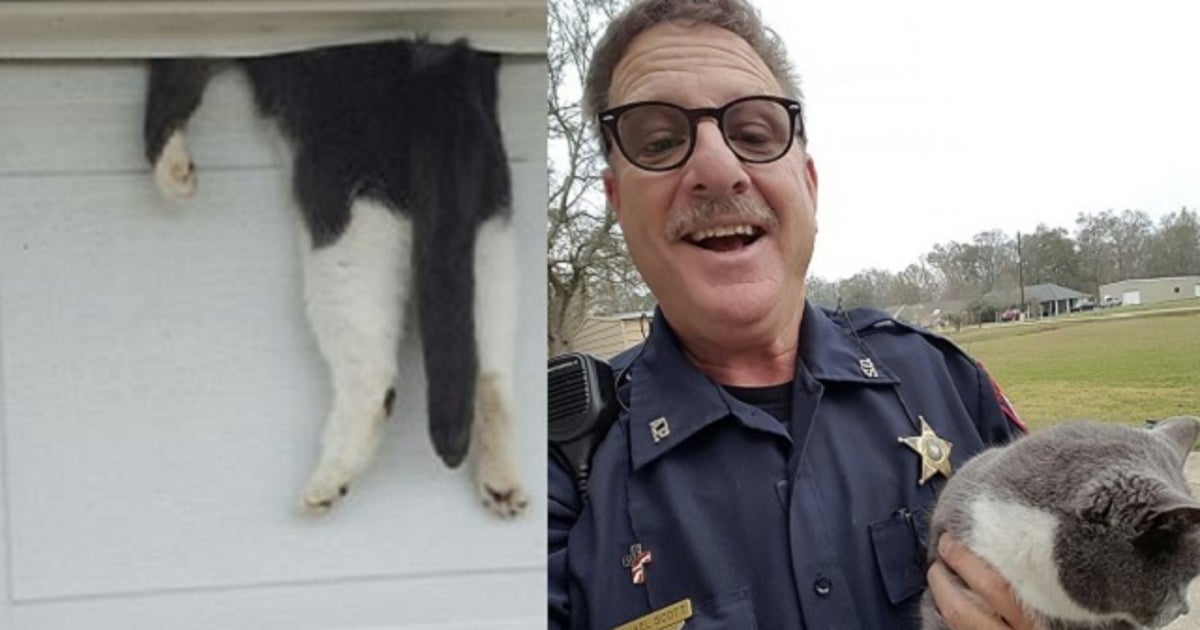 PHOTO: Deputy saves cat trapped in garage door | FOX 35 Orlando