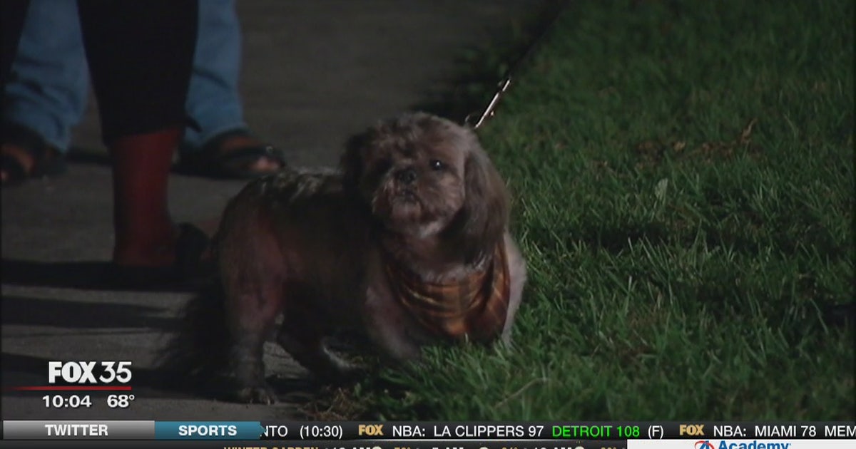 Orlando firefighters rescue dogs from burning home | FOX 35 Orlando