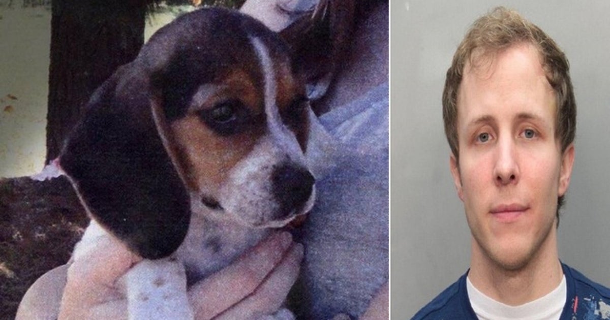 Man accused of beating puppy avoids jail time | FOX 35 Orlando