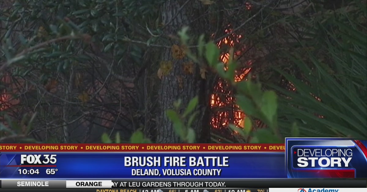 Firefighters fight two brush fires in DeLand | FOX 35 Orlando