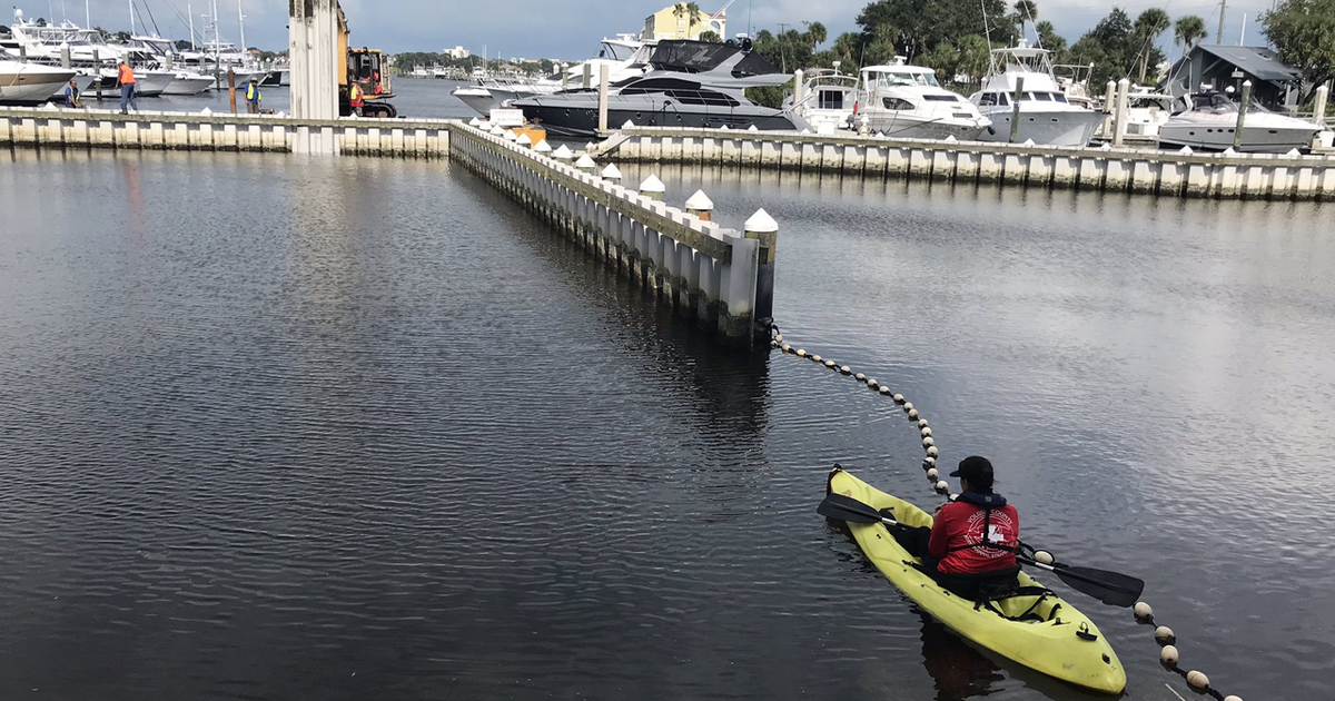 FWC is confident that the trapped manatees are free | FOX 35 Orlando