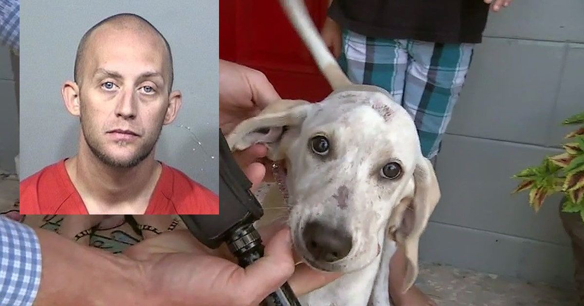 Florida man accused of biting dog | FOX 35 Orlando