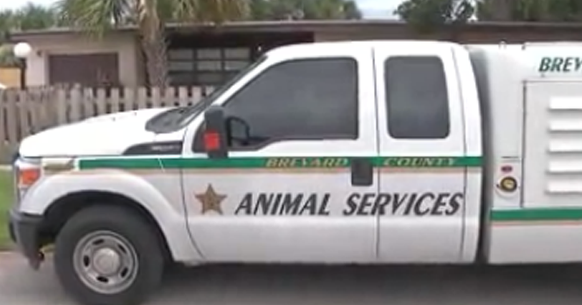 Melbourne officer bitten by dog | FOX 35 Orlando
