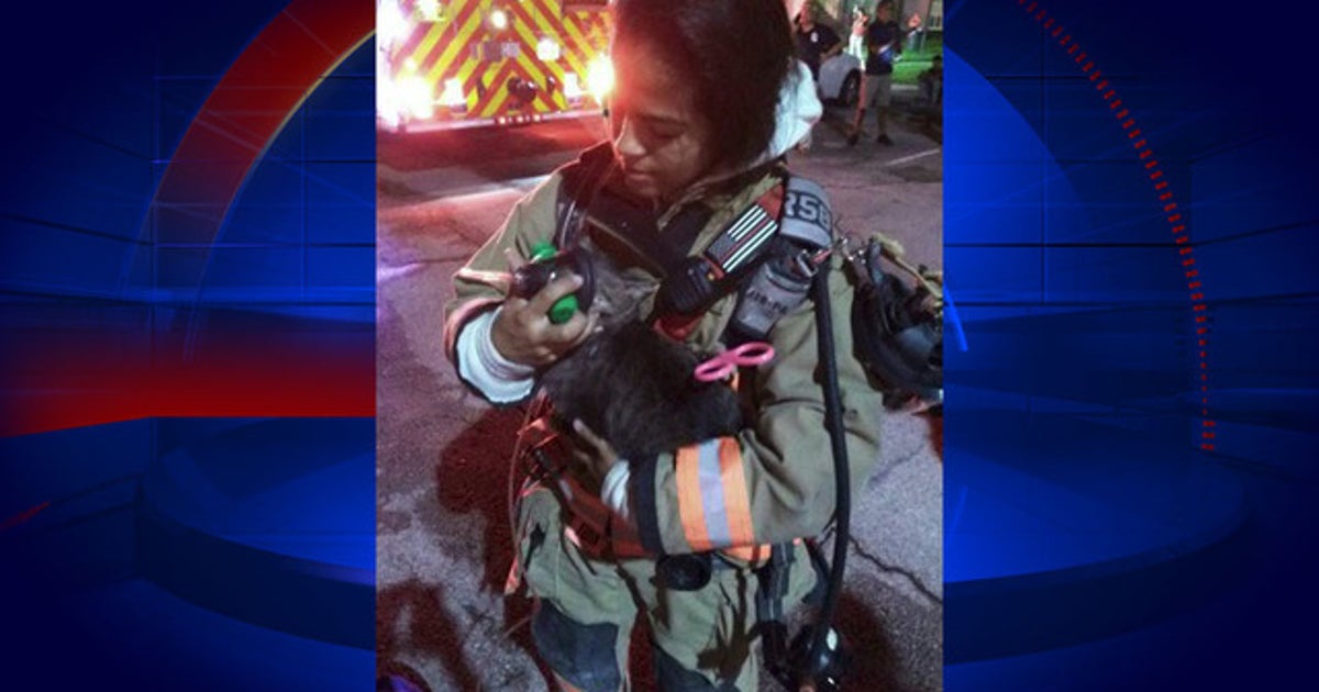 Firefighters give oxygen to cat rescued from apartment fire | FOX 35 ...