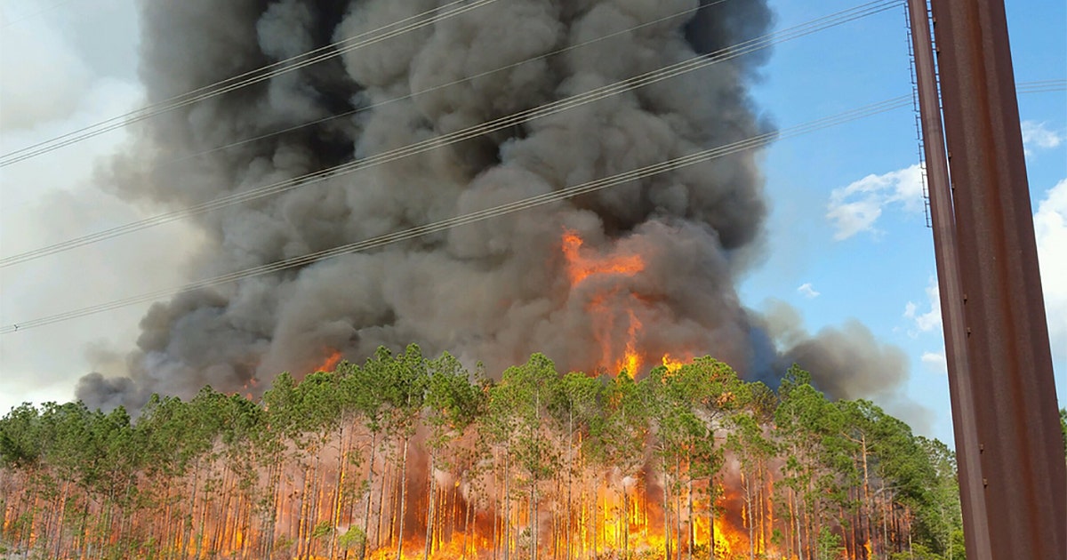 Brush fire shuts down SR 44 between DeLand and New Smyrna Beach | FOX ...