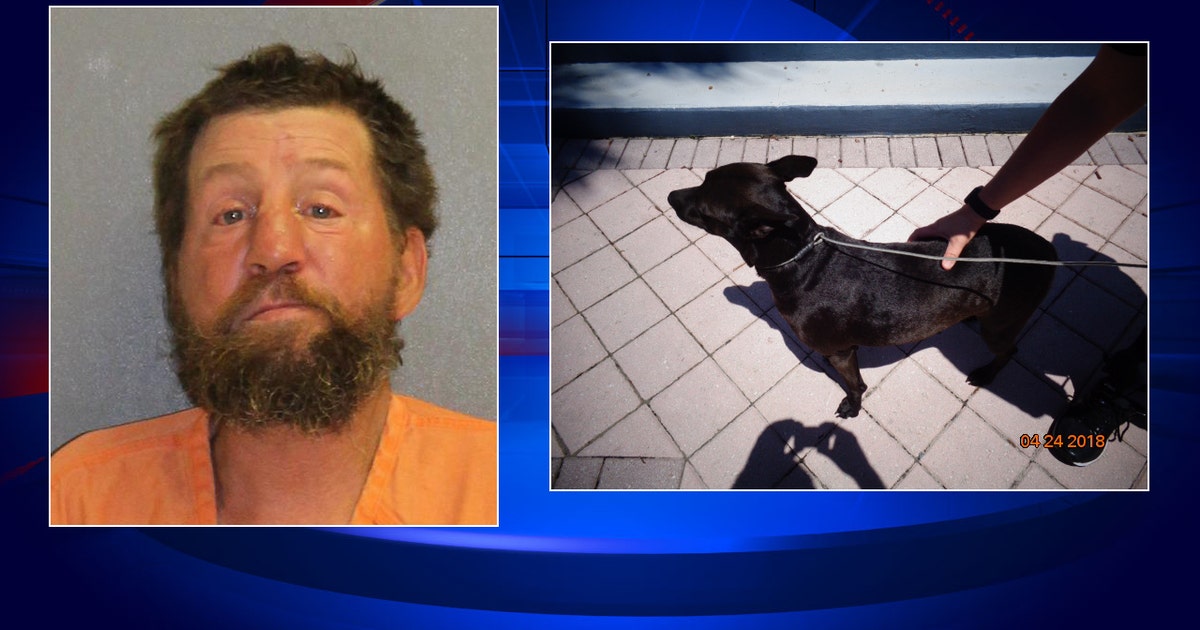 Daytona man arrested, accused of abusing dog on busy street | FOX 35 ...