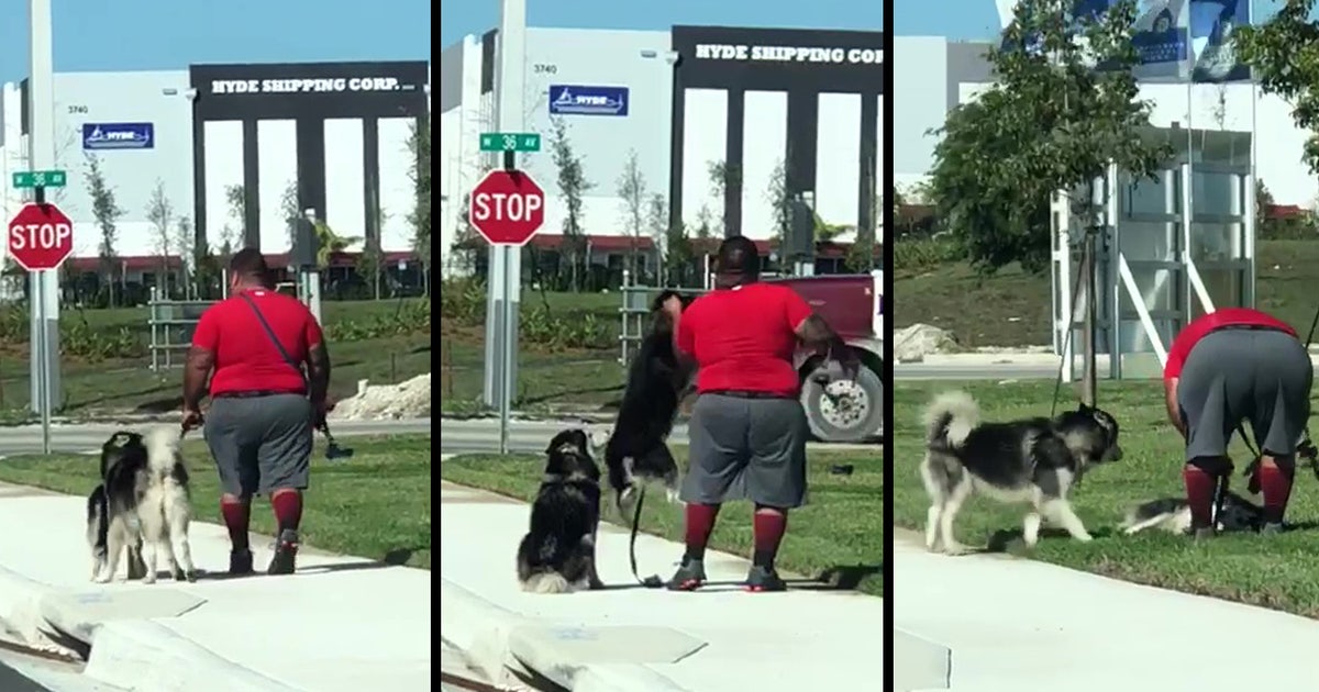 South Florida man accused of choking, slamming neighbor's dog to the ...