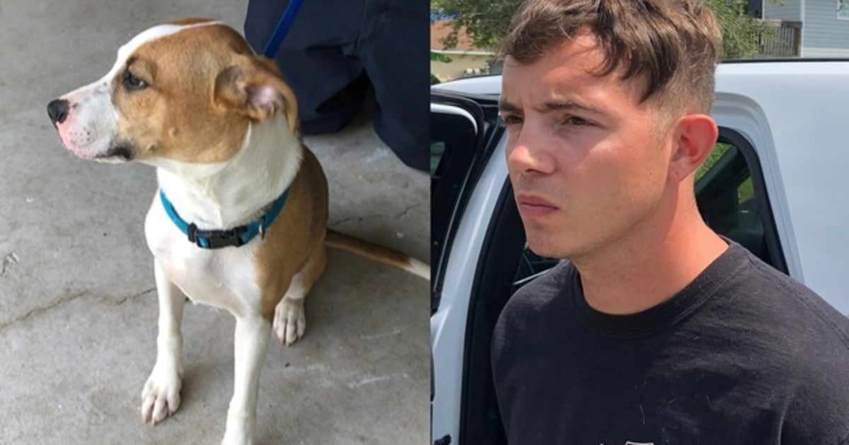 Florida man caught on video kicking, punching dog | FOX 35 Orlando