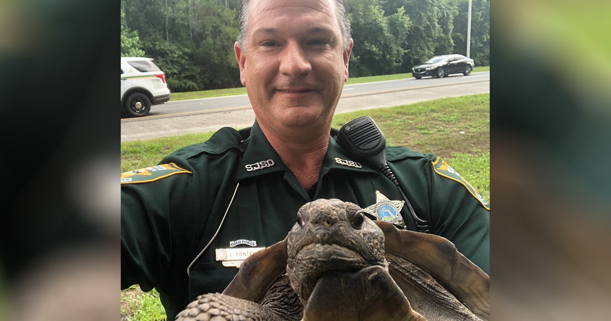 ‘Let him go with a warning': Officer snaps selfie with turtle ‘detained ...