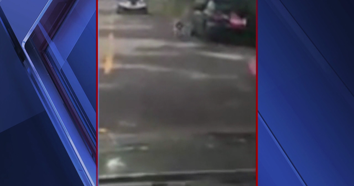 Residents upset after woman caught walking dog while driving car | FOX ...