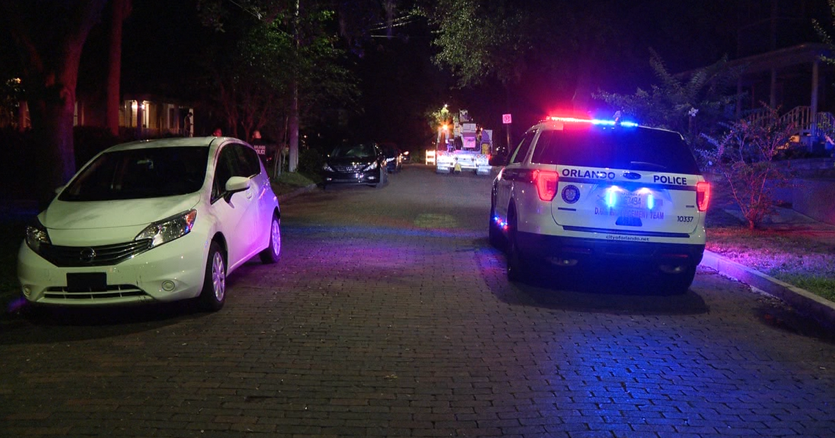 Power restored after falling tree knocks down power line | FOX 35 Orlando