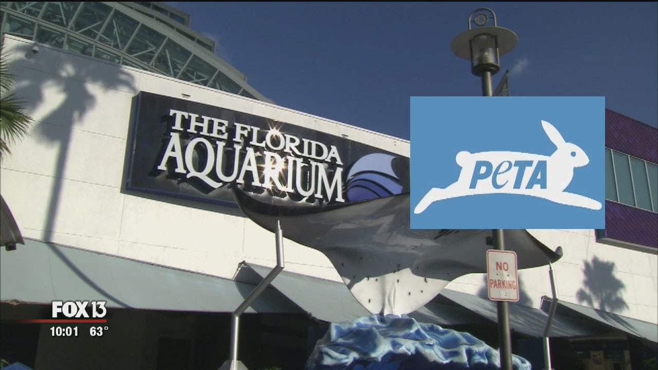 PETA demands investigation of Florida Aquarium