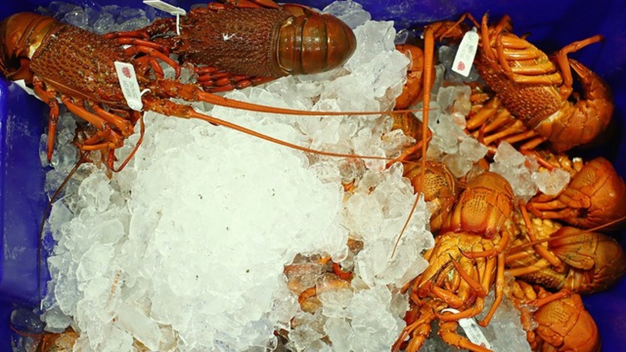 Costco is now selling giant lobster claws at select locations