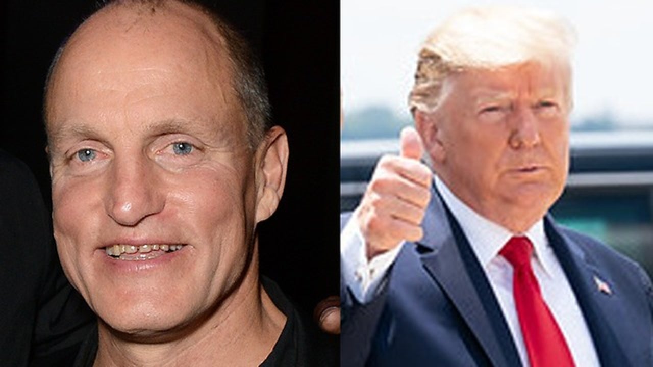 Woody Harrelson says he had to 'go outside and burn one' to get through dinner with Donald Trump