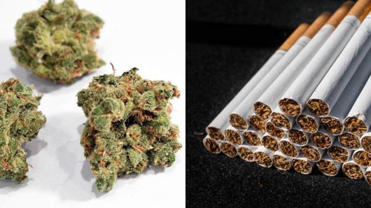is smoking hemp healthier than tobacco Smoking pot vs. tobacco: What science says about lighting up