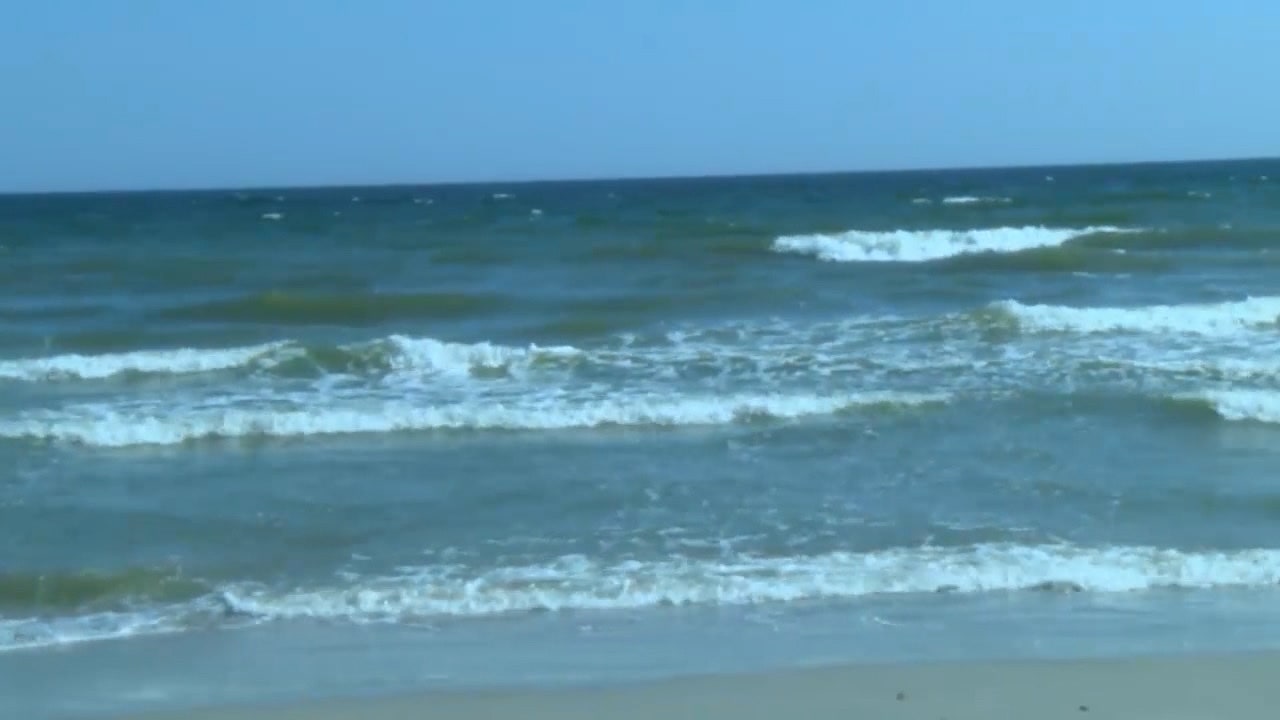 Report Surfer Catching Wave Gets Bitten By Shark At New Smyrna Beach