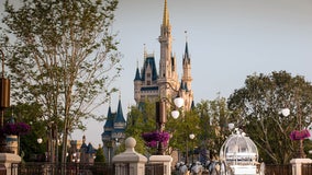 You can now get married next to Cinderella's castle