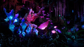 Preview of Disney World's new Pandora: World of Avatar
