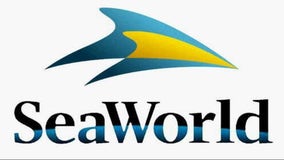 Seaworld Orlando offers $5,000 scholarship to Florida students