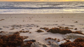 Flagler County beaches now open 'around the clock' for physical, mental health activities
