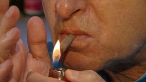 Recreational marijuana drive draws big bucks