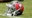 Bridgewater's breakout lifts Saints past Bucs 31-24