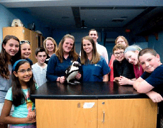 PENGUIN-11_1468891545416-403440.gif