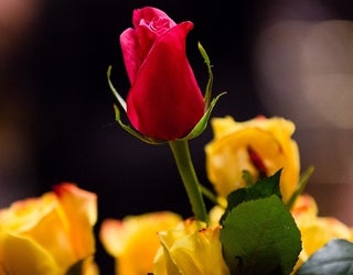 0fb89070-