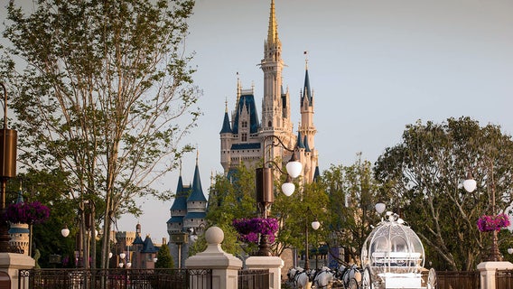 You can now get married next to Cinderella's castle
