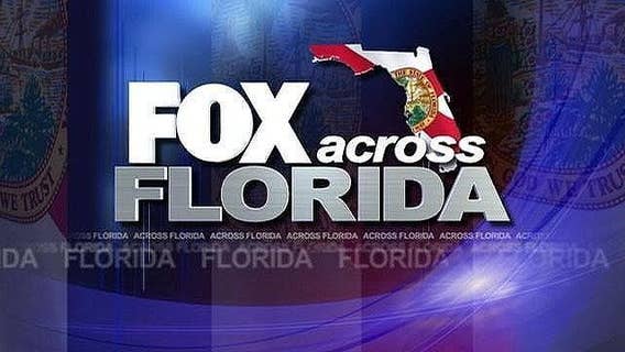 Officers round up hundreds of pigs from overwhelmed Florida animal sanctuary