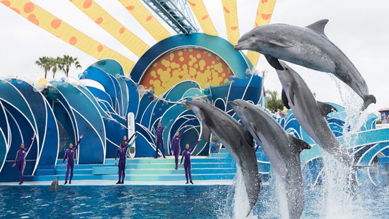 SeaWorld set to open new dolphin show in Orlando