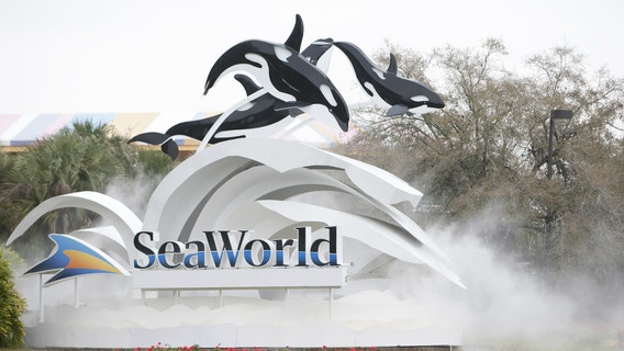 After furloughing 95% of workers, SeaWorld seeks federal loan