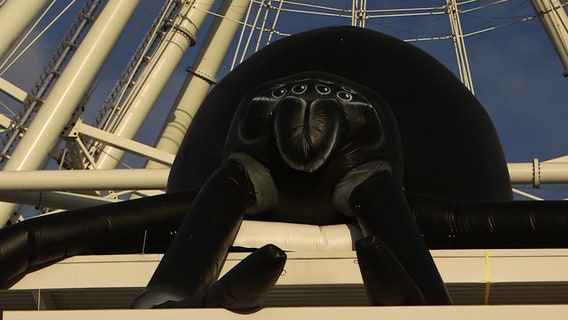 60-foot spider arrives on Orlando's 'biggest web'