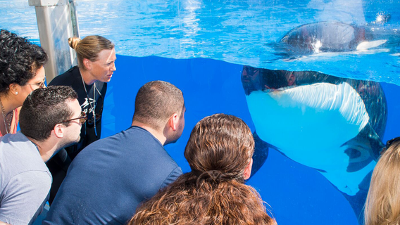 SeaWorld provides online learning resources for students, teachers, and parents during COVID-19 outbreak