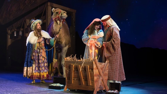Latin-inspired Three Kings Celebration at SeaWorld Orlando