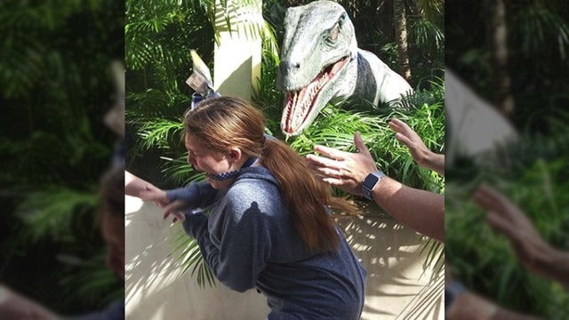 Girl gets quite the scare at Universal Orlando's 'Raptor Encounter'
