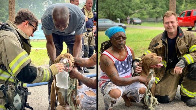 Pit bull rescued from fire despite having 'zero percent chance' of survival