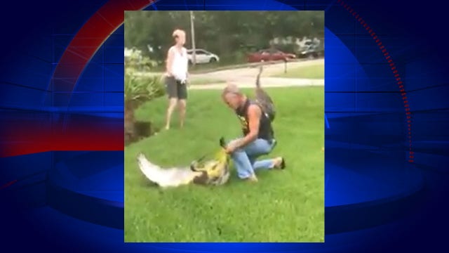 Sandhill crane rescued after someone saw something wrapped around its beak